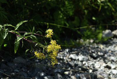 BUITEN BEELD Foto: 414996
