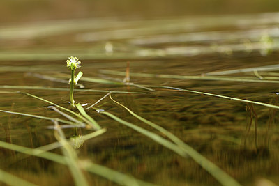 BUITEN BEELD Foto: 415009