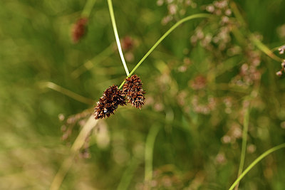 BUITEN BEELD Foto: 415015