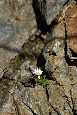 BUITEN BEELD Foto: 415042