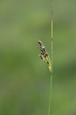 BUITEN BEELD Foto: 415095