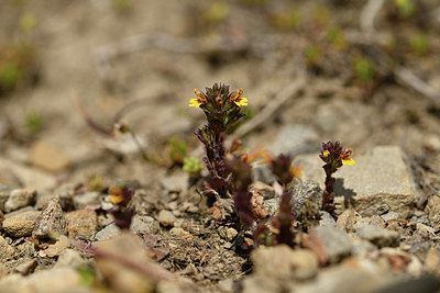 BUITEN BEELD Foto: 415112