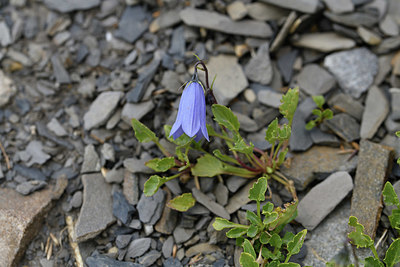BUITEN BEELD Foto: 415152
