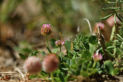BUITEN BEELD Foto: 415171