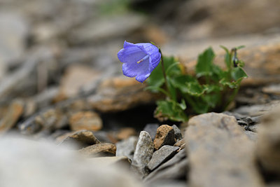 BUITEN BEELD Foto: 415175