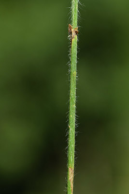 BUITEN BEELD Foto: 415206