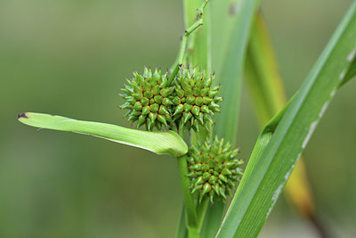 BUITEN BEELD Foto: 415207