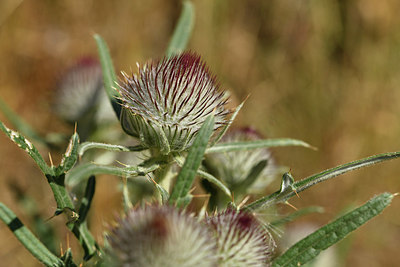 BUITEN BEELD Foto: 415208