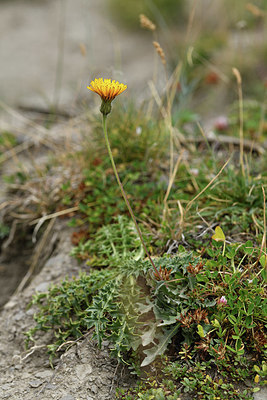 BUITEN BEELD Foto: 415222