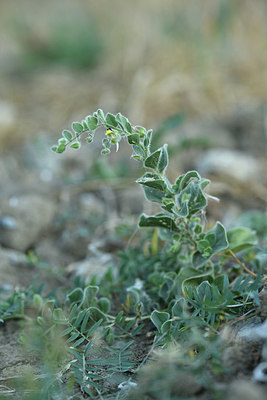 BUITEN BEELD Foto: 415224