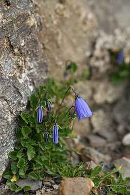 BUITEN BEELD Foto: 415229