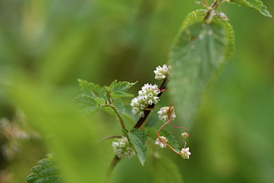 BUITEN BEELD Foto: 415233