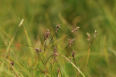 BUITEN BEELD Foto: 415234