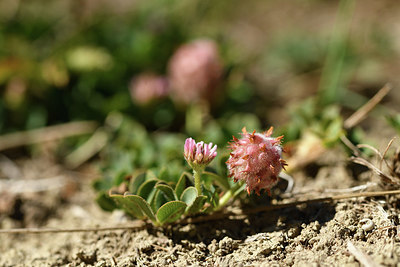 BUITEN BEELD Foto: 415248