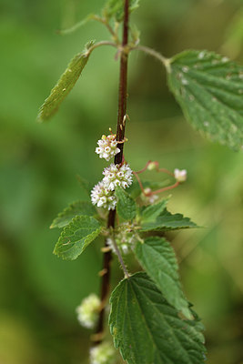 BUITEN BEELD Foto: 415253