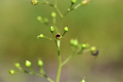 BUITEN BEELD Foto: 415272