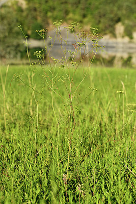 BUITEN BEELD Foto: 415291