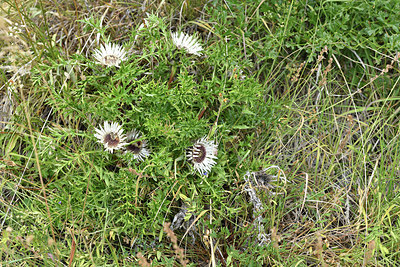 BUITEN BEELD Foto: 415314