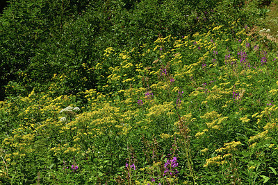 BUITEN BEELD Foto: 415327
