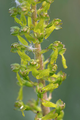 BUITEN BEELD Foto: 415341