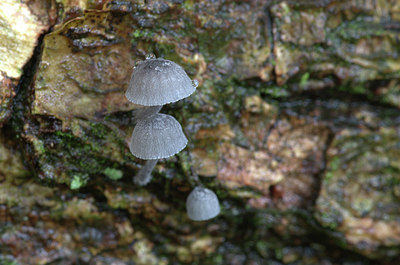 BUITEN BEELD Foto: 415404