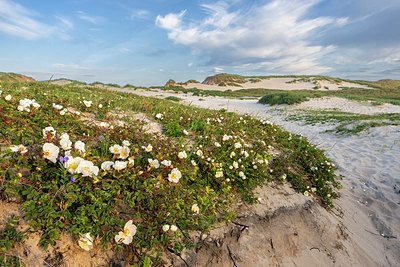 BUITEN BEELD Foto: 415499