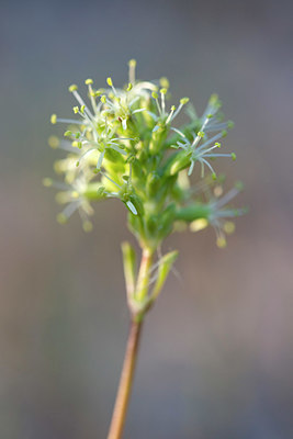 BUITEN BEELD Foto: 415500