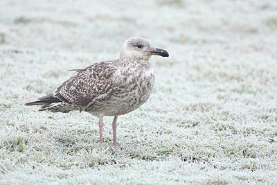 BUITEN BEELD Foto: 415555