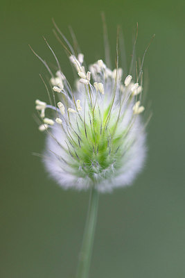 BUITEN BEELD Foto: 415659
