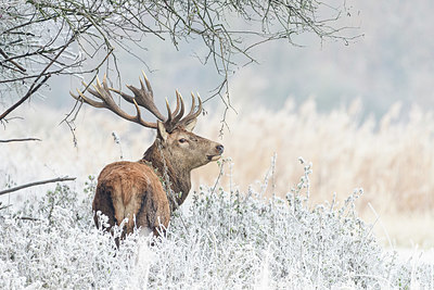 BUITEN BEELD Foto: 415846