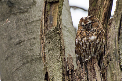 BUITEN BEELD Foto: 415883