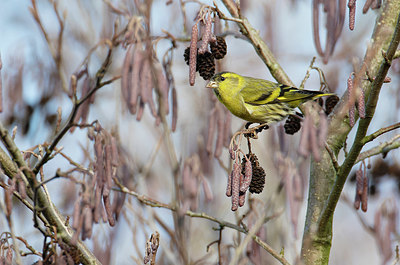 BUITEN BEELD Foto: 415905