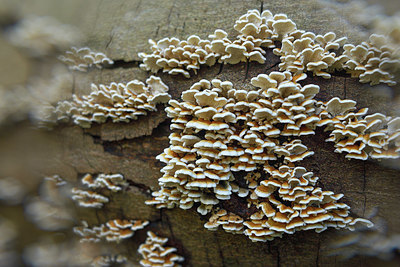 BUITEN BEELD Foto: 415976