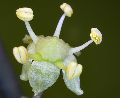 BUITEN BEELD Foto: 415992