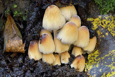 BUITEN BEELD Foto: 416004