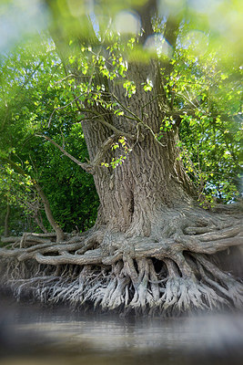 BUITEN BEELD Foto: 416013