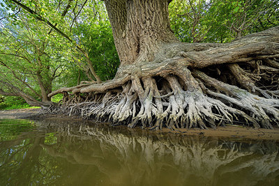 BUITEN BEELD Foto: 416026