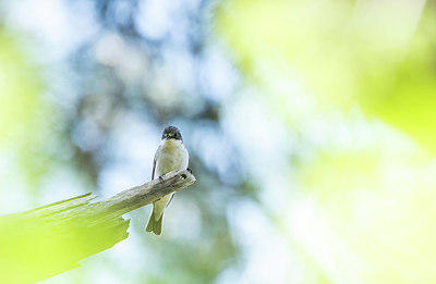 BUITEN BEELD Foto: 416045