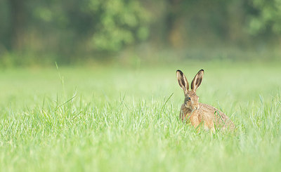 BUITEN BEELD Foto: 416078