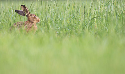 BUITEN BEELD Foto: 416080