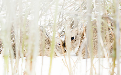 BUITEN BEELD Foto: 416081