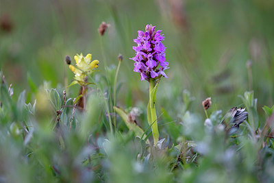 BUITEN BEELD Foto: 416114