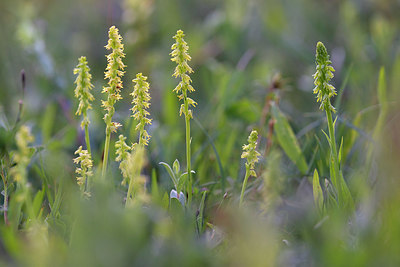 BUITEN BEELD Foto: 416141