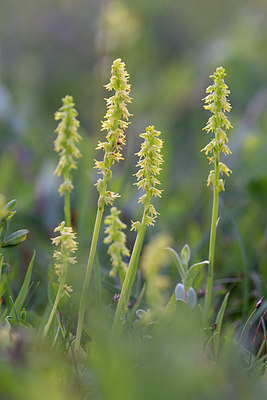 BUITEN BEELD Foto: 416142