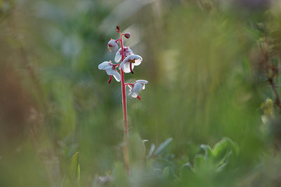BUITEN BEELD Foto: 416181