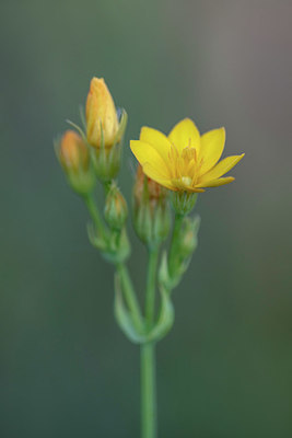 BUITEN BEELD Foto: 416195