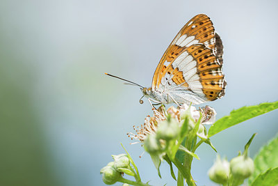 BUITEN BEELD Foto: 416235