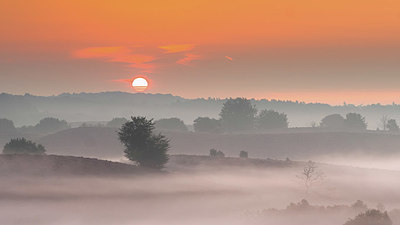 BUITEN BEELD Foto: 416242