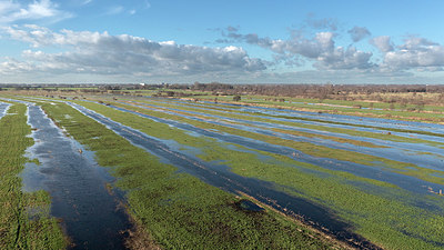 BUITEN BEELD Foto: 416265