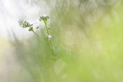 BUITEN BEELD Foto: 416280